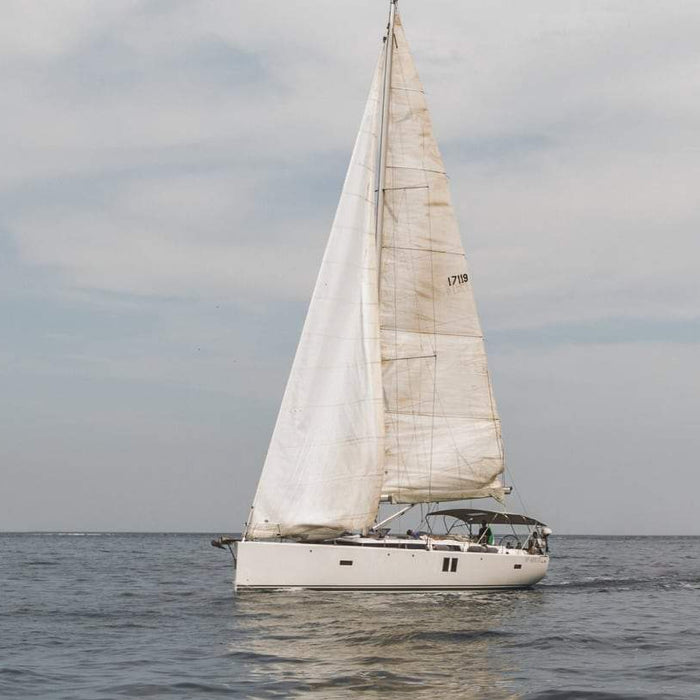 Four New Things to Explore This Columbus Day Weekend!