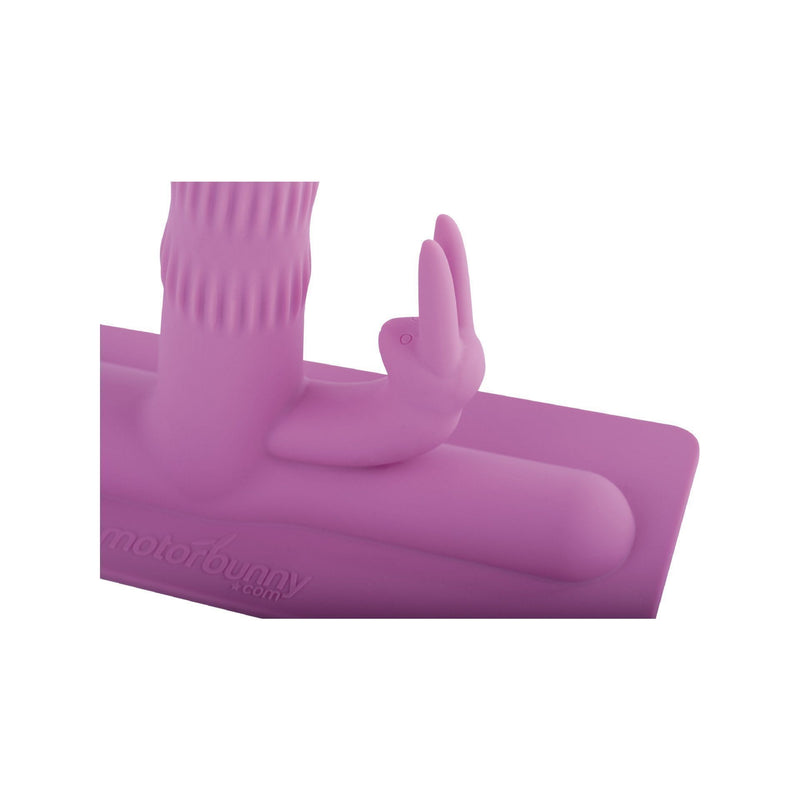 Accesorio de Acoplamiento de Silicona premium para Conejitos.